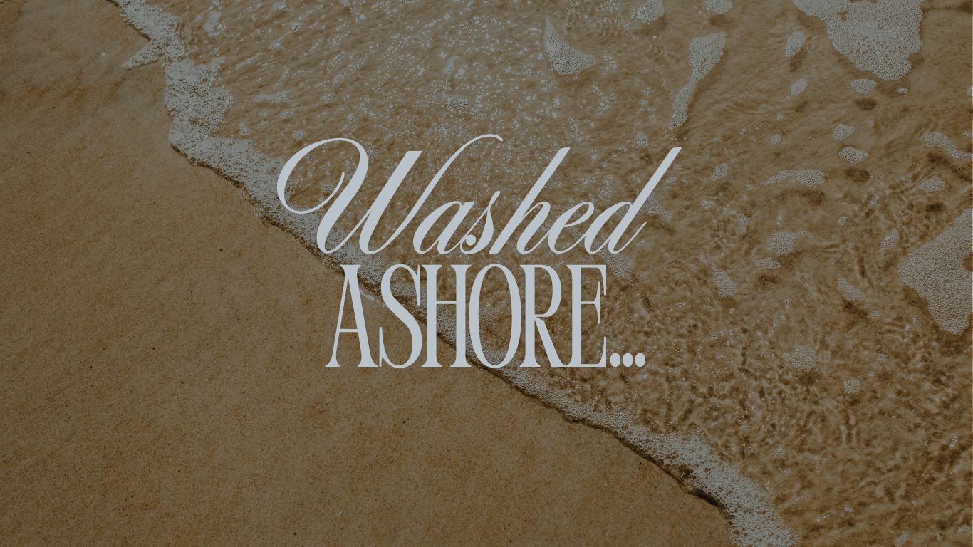 Washed ashore...