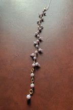 Pearl Wisteria